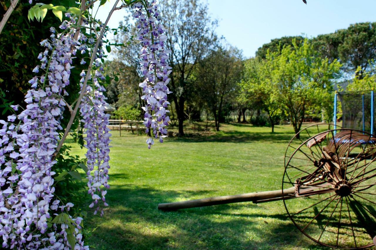 Villa Agriturist Prile Castiglione della Pescaia Exterior foto