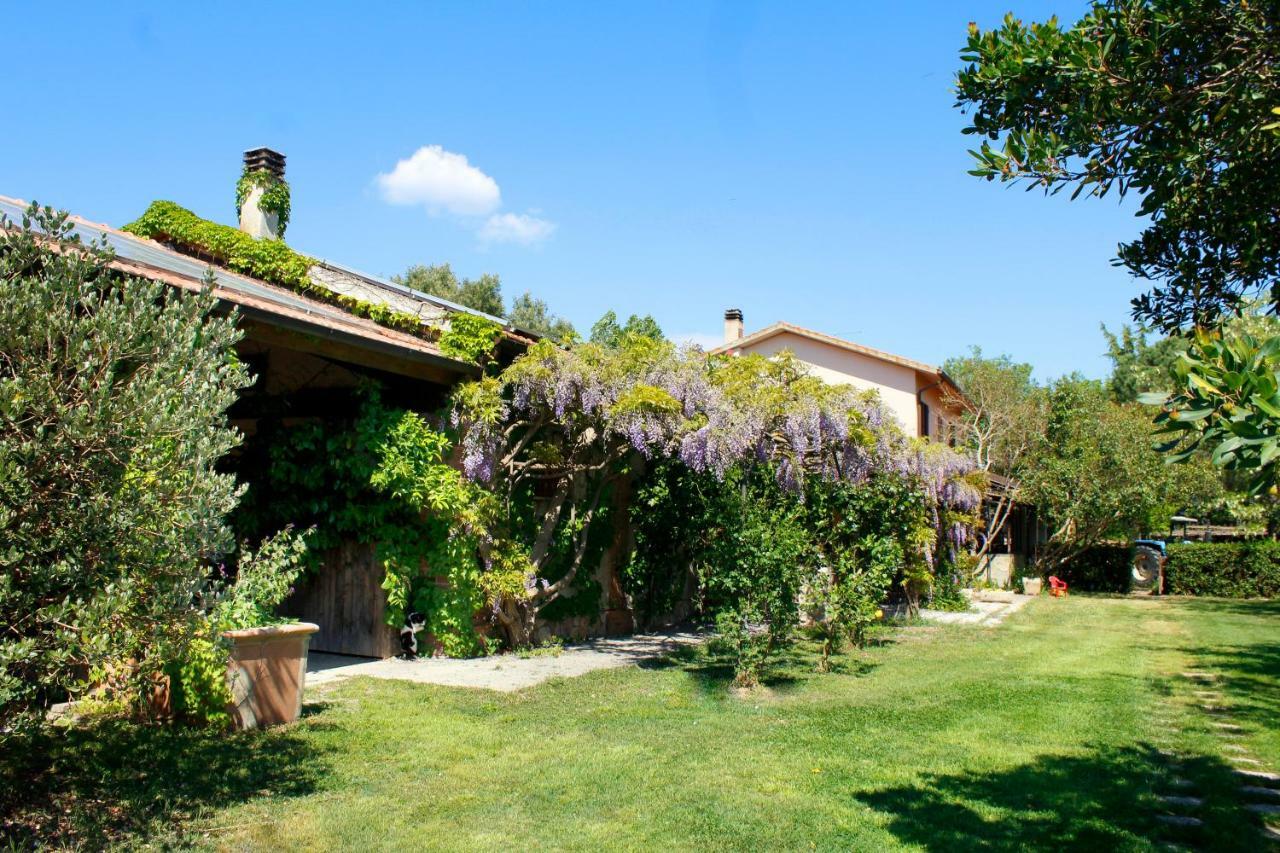 Villa Agriturist Prile Castiglione della Pescaia Exterior foto